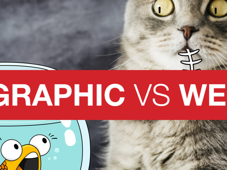 Do I need a Graphic or a Web designer?